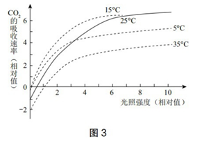 中学生物学科知识与教学能力,历年真题,2019年下半年教师资格证考试《生物学科知识与教学能力》（高级中学）真题