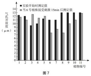 中学生物学科知识与教学能力,历年真题,2019年下半年教师资格证考试《生物学科知识与教学能力》（高级中学）真题