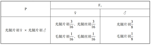 中学生物学科知识与教学能力,历年真题,2019年下半年教师资格证考试《生物学科知识与教学能力》（高级中学）真题