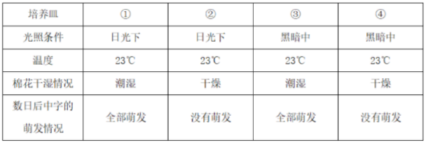 中学生物学科知识与教学能力,历年真题,2021年下半年教师资格《生物学科知识与教学能力》（初级中学）真题