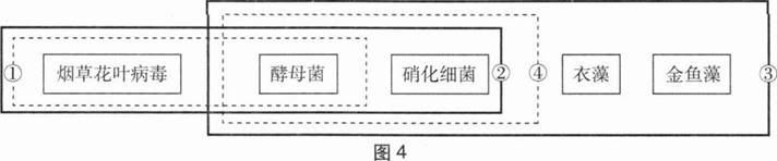 中学生物学科知识与教学能力,章节练习,基础复习,初级中学
