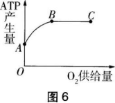 中学生物学科知识与教学能力,章节练习,基础复习,初级中学