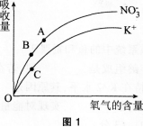 中学生物学科知识与教学能力,章节练习,基础复习,高级中学