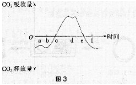 中学生物学科知识与教学能力,章节练习,基础复习,高级中学