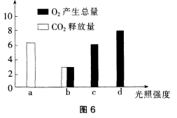 中学生物学科知识与教学能力,章节练习,基础复习,高级中学