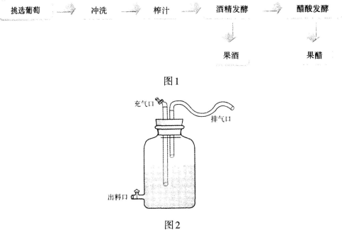 中学生物学科知识与教学能力,章节练习,基础复习,高级中学