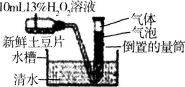 中学生物学科知识与教学能力,章节练习,基础复习,高级中学
