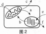 中学生物学科知识与教学能力,章节练习,基础复习,高级中学