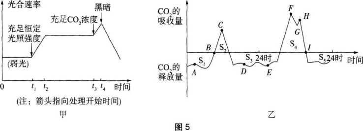 中学生物学科知识与教学能力,章节练习,基础复习,高级中学 中学生物学科知识与教学能力,章节练习,基础复习,高级中学