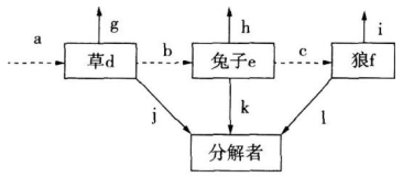 中学生物学科知识与教学能力,章节练习,基础复习,高级中学