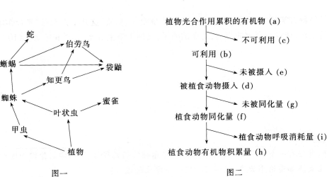 中学生物学科知识与教学能力,章节练习,基础复习,高级中学 中学生物学科知识与教学能力,章节练习,基础复习,高级中学