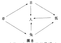 中学生物学科知识与教学能力,章节练习,基础复习,高级中学 中学生物学科知识与教学能力,章节练习,基础复习,高级中学