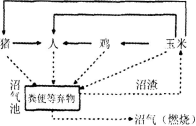 中学生物学科知识与教学能力,章节练习,基础复习,高级中学