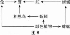 中学生物学科知识与教学能力,章节练习,基础复习,高级中学 中学生物学科知识与教学能力,章节练习,基础复习,高级中学