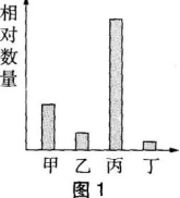 中学生物学科知识与教学能力,章节练习,基础复习,初级中学