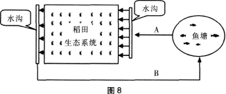 中学生物学科知识与教学能力,章节练习,基础复习,初级中学