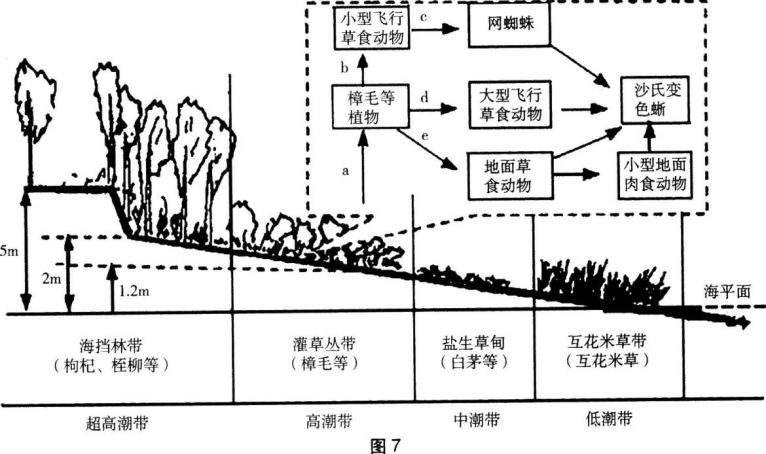 中学生物学科知识与教学能力,章节练习,基础复习,初级中学