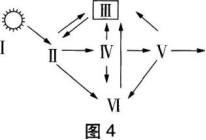 中学生物学科知识与教学能力,章节练习,基础复习,初级中学