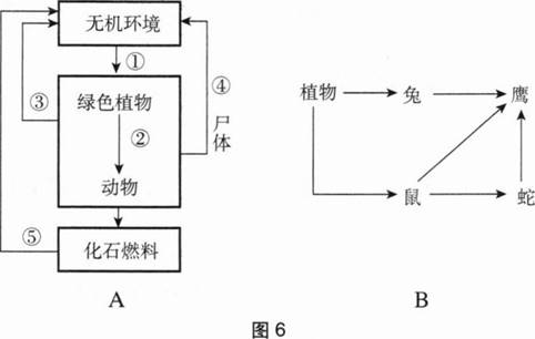 中学生物学科知识与教学能力,章节练习,基础复习,初级中学