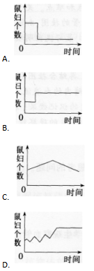 中学生物学科知识与教学能力,章节练习,基础复习,初级中学