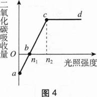 中学生物学科知识与教学能力,章节练习,基础复习,初级中学