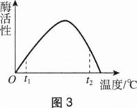 中学生物学科知识与教学能力,章节练习,基础复习,初级中学