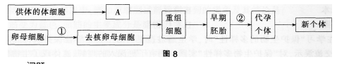 中学生物学科知识与教学能力,章节练习,基础复习,初级中学