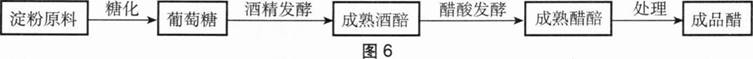 中学生物学科知识与教学能力,章节练习,基础复习,初级中学