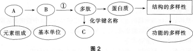 中学生物学科知识与教学能力,章节练习,基础复习,高级中学