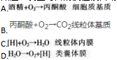 中学生物学科知识与教学能力,章节练习,基础复习,高级中学