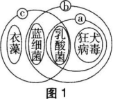 中学生物学科知识与教学能力,章节练习,基础复习,高级中学