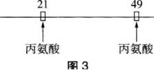 中学生物学科知识与教学能力,章节练习,基础复习,高级中学