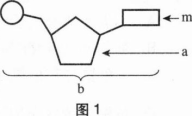 中学生物学科知识与教学能力,章节练习,基础复习,高级中学