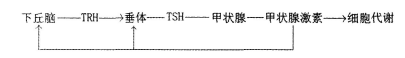 中学生物学科知识与教学能力,章节练习,基础复习,高级中学