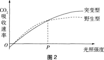 中学生物学科知识与教学能力,章节练习,基础复习,初级中学