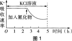 中学生物学科知识与教学能力,章节练习,基础复习,初级中学