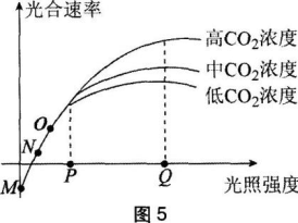 中学生物学科知识与教学能力,章节练习,基础复习,初级中学