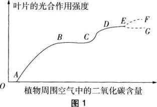 中学生物学科知识与教学能力,章节练习,基础复习,初级中学