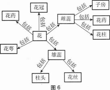 中学生物学科知识与教学能力,章节练习,基础复习,初级中学