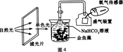 中学生物学科知识与教学能力,章节练习,基础复习,初级中学