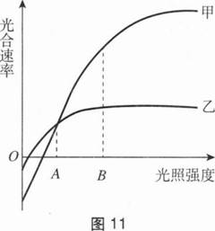 中学生物学科知识与教学能力,章节练习,基础复习,初级中学