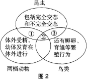中学生物学科知识与教学能力,章节练习,基础复习,初级中学