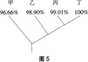 中学生物学科知识与教学能力,章节练习,基础复习,初级中学