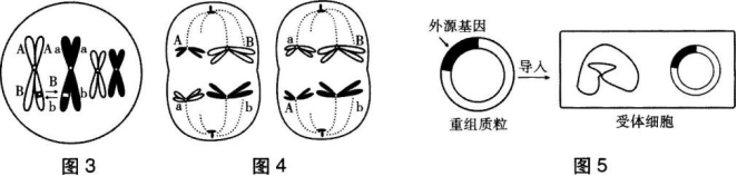 中学生物学科知识与教学能力,章节练习,基础复习,初级中学