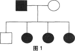 中学生物学科知识与教学能力,章节练习,基础复习,初级中学