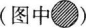 中学生物学科知识与教学能力,章节练习,基础复习,初级中学
