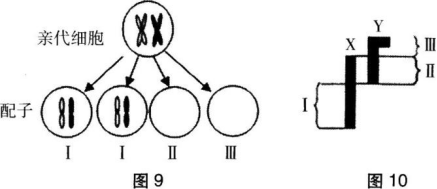 中学生物学科知识与教学能力,章节练习,基础复习,初级中学