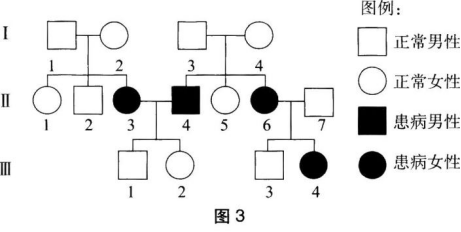 中学生物学科知识与教学能力,章节练习,基础复习,初级中学