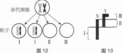 中学生物学科知识与教学能力,章节练习,基础复习,初级中学