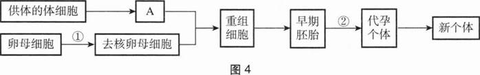 中学生物学科知识与教学能力,章节练习,基础复习,初级中学